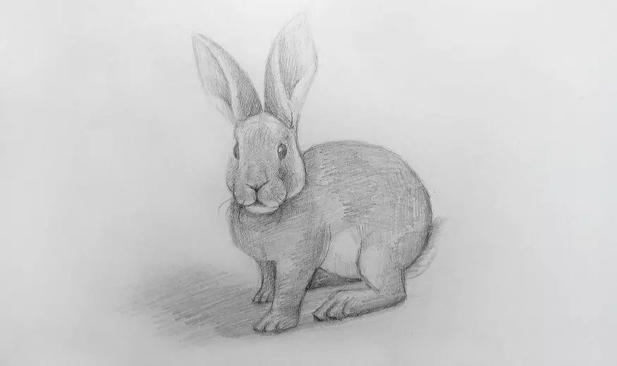 Как нарисовать кролика карандашом? Шаг 1. Поэтапный урок. Портреты карандашом - Fenlin.ru