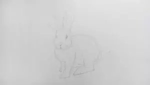 Как нарисовать кролика карандашом? Шаг 10. Портреты карандашом - Fenlin.ru