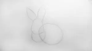 Как нарисовать кролика карандашом? Шаг 4. Портреты карандашом - Fenlin.ru