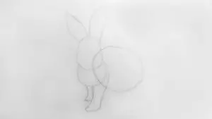 Как нарисовать кролика карандашом? Шаг 5. Портреты карандашом - Fenlin.ru