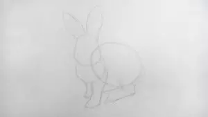 Как нарисовать кролика карандашом? Шаг 6. Портреты карандашом - Fenlin.ru