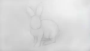 Как нарисовать кролика карандашом? Шаг 7. Портреты карандашом - Fenlin.ru