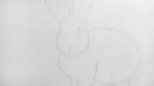Как нарисовать кролика карандашом? Шаг 9. Портреты карандашом - Fenlin.ru