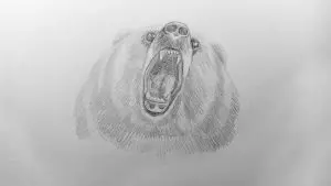Как нарисовать медведя карандашом? Шаг 14. Портреты карандашом - Fenlin.ru