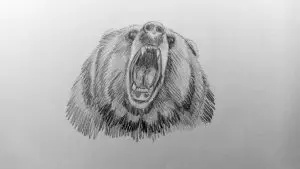 Как нарисовать медведя карандашом? Шаг 15. Портреты карандашом - Fenlin.ru