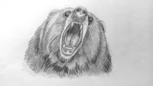 Как нарисовать медведя карандашом? Шаг 16. Портреты карандашом - Fenlin.ru