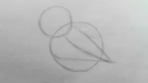 Как нарисовать сову карандашом? Шаг 2. Портреты карандашом - Fenlin.ru