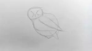 Как нарисовать сову карандашом? Шаг 4. Портреты карандашом - Fenlin.ru