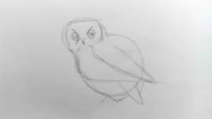 Как нарисовать сову карандашом? Шаг 5. Портреты карандашом - Fenlin.ru