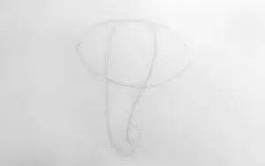 Как нарисовать слона карандашом? Шаг 2. Портреты карандашом - Fenlin.ru