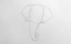 Как нарисовать слона карандашом? Шаг 4. Портреты карандашом - Fenlin.ru