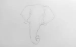 Как нарисовать слона карандашом? Шаг 5. Портреты карандашом - Fenlin.ru