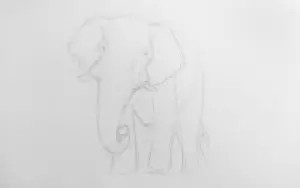 Как нарисовать слона карандашом? Шаг 6. Портреты карандашом - Fenlin.ru