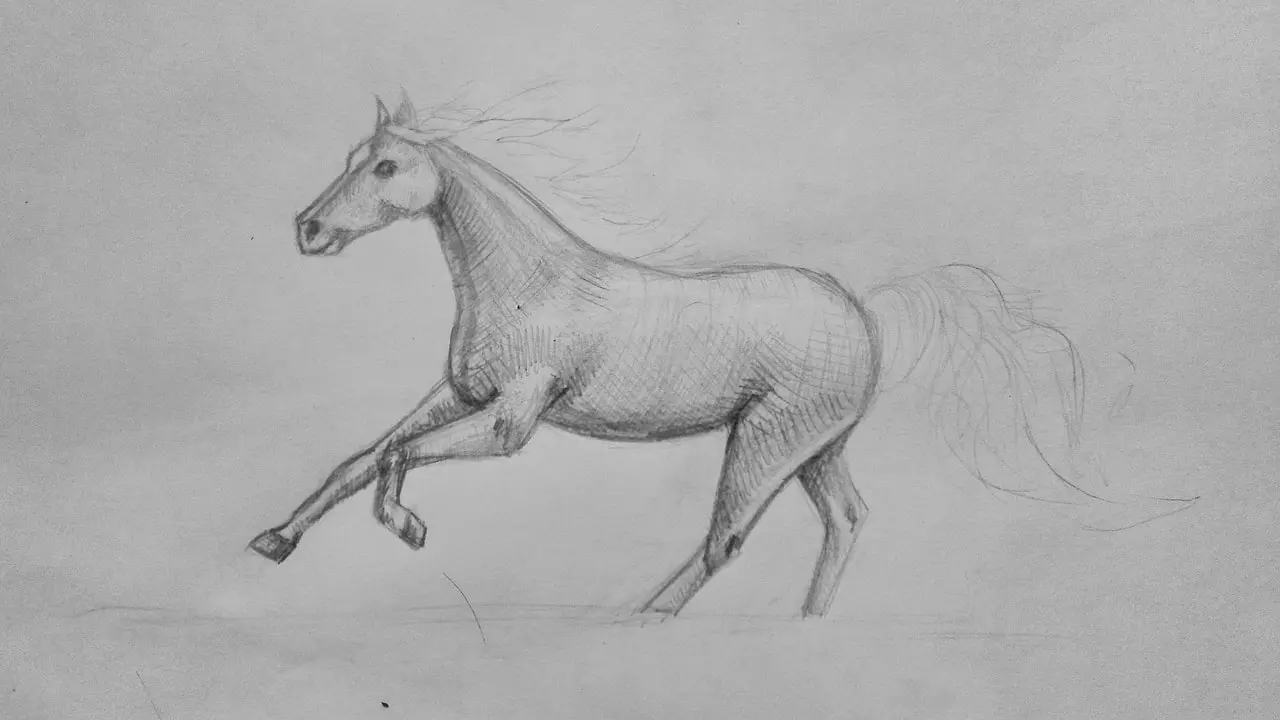Как нарисовать бегущую лошадь поэтапно карандашом