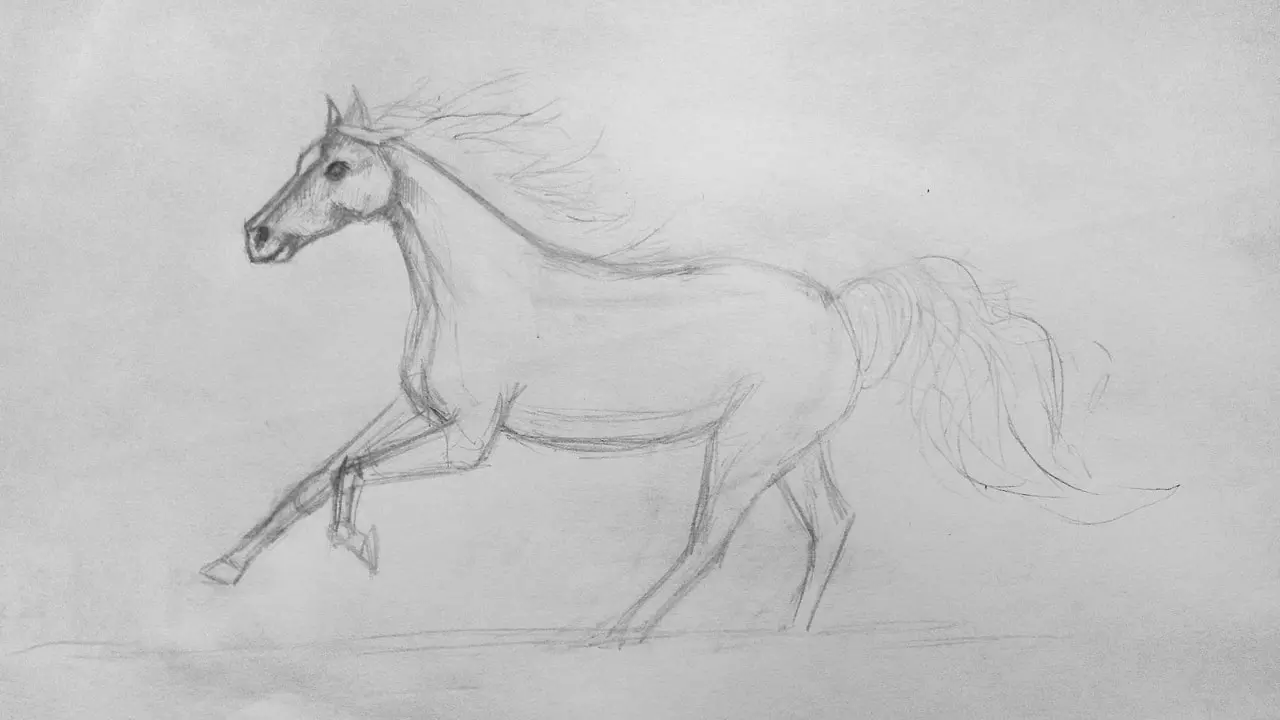 Как нарисовать бегущую лошадь поэтапно карандашом